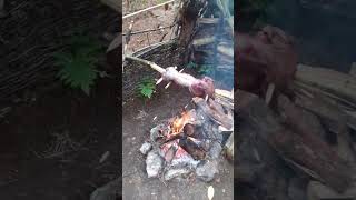 Haas aan het spitbushcraft outdoorcooking [upl. by Nerak473]