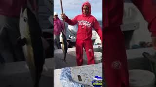 Albacora fishing  pesca  atun  palmar de ocoa [upl. by Melia]