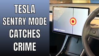 Tesla Sentry Mode Catches Crime Which Leads to Arrest  Ludicrous Feed [upl. by Junieta]