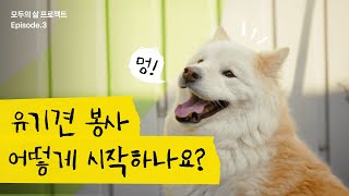 유기견 봉사를 시작하는 가장 쉬운 방법 🐶 ft 카카오톡 오픈채팅 🤳ㅣ모두의 삶 프로젝트 시즌 1 EP3 [upl. by Ellinehc]