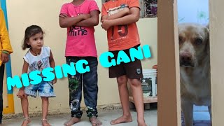 OUR DOG IS MISSING PRANK ON CHILDRENS upendragani viralsupport [upl. by Kho]