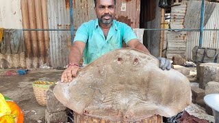 EXOTIC STING RAYY FISH⚡️🦑🗡 KASIMEDU FISH CUTTING  ⚡️VADACHENNAI MEENAVAN⚡️ [upl. by Minta630]