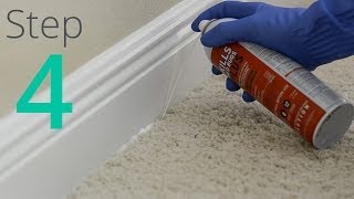 How to Get Rid of Bed Bugs Step 4  4 Spray amp Powder Cracks amp Crevices [upl. by Peednama]