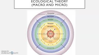 Bronfenbrenners Ecological Theory  explained [upl. by Anirbaz]