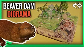 Beaver DamoRama Speedbuild  Planet Zoo North America Animal Pack [upl. by Yelrah780]