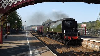 Tragic Tangmere in Trouble Today 21 09 24 [upl. by Marou]