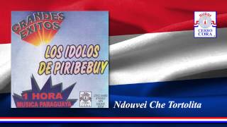 Los Ídolos De Piribebuy  Ndouvei Che Tortolita [upl. by Anirres754]