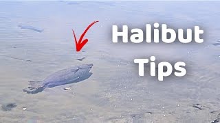 Halibut tips  Drop Shot Rig EXPLAINED [upl. by Etnahsal376]