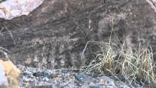 Gunnison River Rock Art Site [upl. by Jessica614]