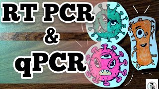 RT PCRReverse Transcriptase PCR and Real time PCR paperpenbiology [upl. by Nyrem]