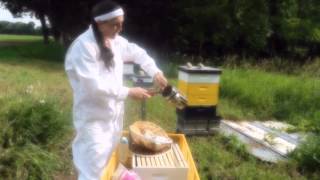 How to light a beehive smoker [upl. by Aleunamme]