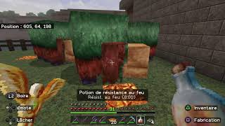 Minecraft Fr  17  Live PS4 [upl. by Cammie446]