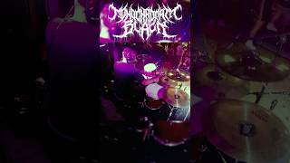 Blast beat Drum Cam Footage from CT metal femalfrontedmetal blastbeats drumsolo metaldrumming [upl. by Bury358]