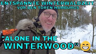 Alone in the Winterwood   Entspannte Winderwaldzeit vor den Toren Hamburgs  4K [upl. by Oicul]