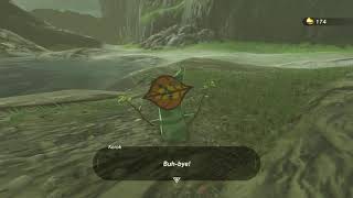 Korok seeds  Dueling Peaks Tower  Dueling Peak Tower 6  Zelda BOTW [upl. by Ebarta803]