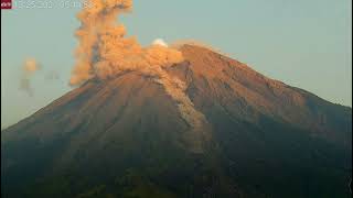 Dec 25 2023 nice pyroclastic flow on Semeru volcano [upl. by Culliton]