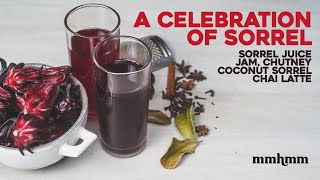 How To Make Sorrel Juice Sorrel Jam Sorrel Chutney amp Coconut Sorrel Chai Latte [upl. by Georges]