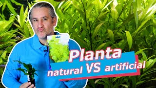 PLANTAS natural VS artificial · PROS y CONTRAS en ACUARIO 🌱 [upl. by Dove]