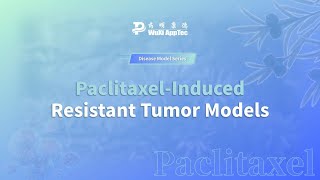 PaclitaxelInduced Resistant Tumor Models [upl. by Angle337]