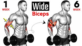 15 BEST Exercises for WIDER BICEPS [upl. by Ayihsa]