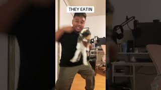 Theyre eating the dogs Theyre eating the cats Remix dance shorts funny [upl. by Timrek]