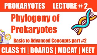 PHYLOGENY OF PROKARYOTES  LECTURE 2  CHAP PROKARYOTES ￼ CLASS 11NMDCAT NEET [upl. by Kapoor]