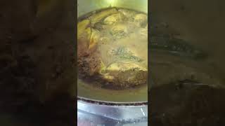 Ilish Macher jhol korlam begun die food [upl. by Eillah]