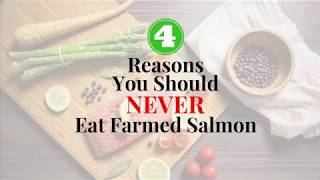 4 Reasons You Should Never Eat Farmed Salmon [upl. by Boffa]