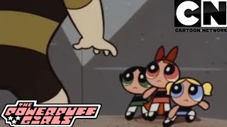 The Powerpuff Girls  Cootie Gras Clip 2 [upl. by Mossolb652]