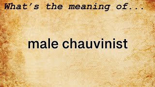 Male Chauvinist Meaning  Definition of Male Chauvinist [upl. by Shelagh]