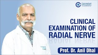 Clinical Examination of Radial Nerve By Prof Dr Anil Dhal [upl. by Saddler]