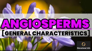 Angiosperms  General character  Biology  Educational info [upl. by Ailices655]