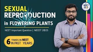 Sexual Reproduction in Flowering Plants NEET Important Question  NEET 2025 [upl. by Bondon]