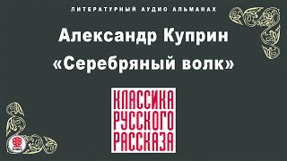 АЛЕКСАНДР КУПРИН «СЕРЕБРЯНЫЙ ВОЛК» Аудиокнига Читает Александр Котов [upl. by Kreitman973]