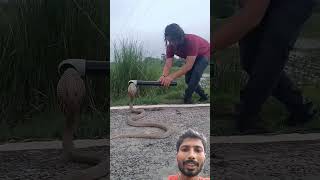 bhai ko dikhaiye saamp pakdane ka style cobra top vishal dancer 62 snake [upl. by Nnyllaf]