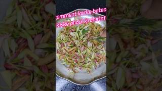 Aaj kuch alag chatni banayi  Chatni recipe shorts  innovativefoodlab🥰😋😋 [upl. by Genesa818]