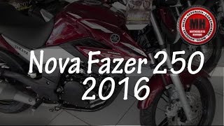 Nova Yamaha Fazer 250 2016  Motociclista Henrique [upl. by Erikson416]