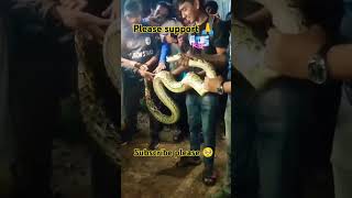 A Big ojogor snakesnake sankar shortsviral vairalshortforyou yotubetrending foruyoupage [upl. by Eluk]