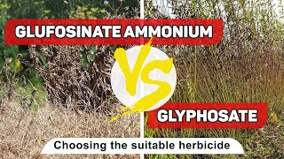 The most common herbicides  glufosinate ammonium vs glyphosate [upl. by Bedell415]