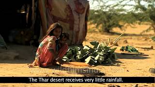 Thar  The Great Indian Desert [upl. by Deery]