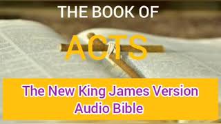 Acts  Audio Bible  NKJV  Dramatized [upl. by Aehsrop930]