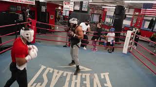 4 Rounds Sparring Bloody Nose Ego amp Hard Lessons  Gleasons Gym w Leon Cat Taylor [upl. by Wilburn901]