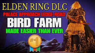 ELDEN RING DLC  Best Rune Farm Spot  Made Easier Than Ever [upl. by Homans]