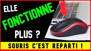 PROBLEME SOURIS PC PORTABLE  SOURIS bloquée ou HS ne FONCTIONNE PAS Lenovo Asus HP Dell Acer [upl. by Doralynne]