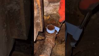 Replacing a steam radiator valve plumbing hydronyc fyp [upl. by Dot713]