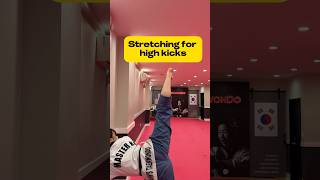 Stretching exercise for Kicking martialartstraining taekwondo usataekwondo kidstraining [upl. by Rip]