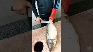 Cleaning the Grass carp fish skin with a knife [upl. by Garbers299]