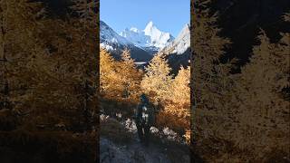 Daocheng Yading in Autumn  稻城亚丁 cinematictravel hiking cinematiclandscapes [upl. by Zedecrem]