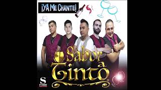 Sabor a Tinto  La Cumbia del Saltamonte [upl. by Nomyad]