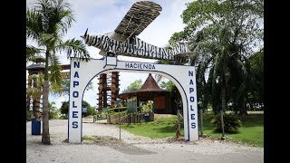 Hacienda Napoles is a theme park on the land of Pablo Escobars former estate in Colombia [upl. by Iadam193]